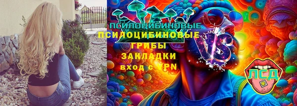 меф Арсеньев