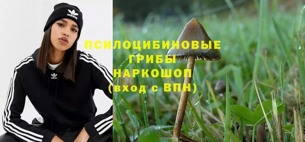 меф Арсеньев