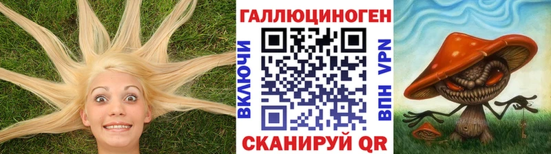 Галлюциногенные грибы прущие грибы  Катав-Ивановск 